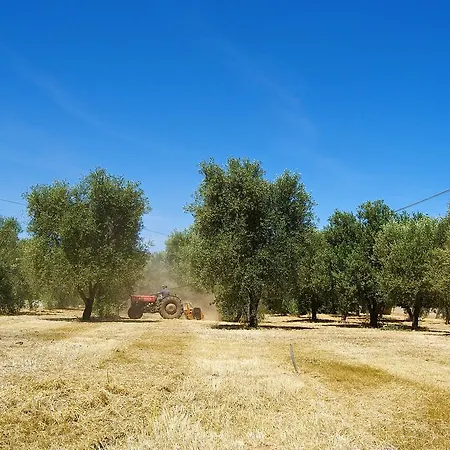 Bed & Breakfast Masseria Saggiomo