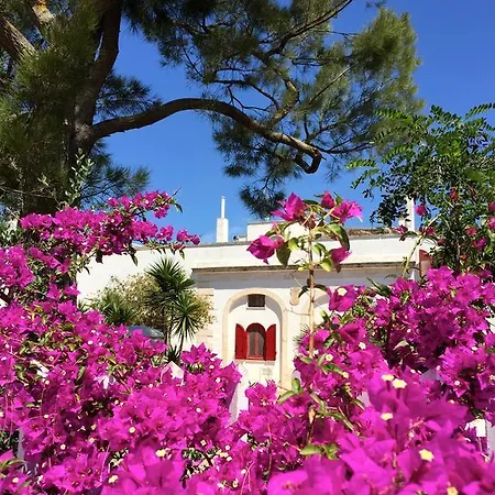 Bed & Breakfast Masseria Saggiomo