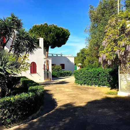 Bed & Breakfast Masseria Saggiomo 2*