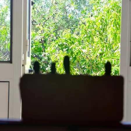 Bed & Breakfast Masseria Saggiomo