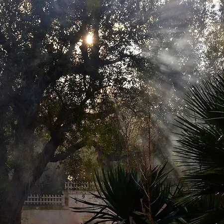 Bed & Breakfast Masseria Saggiomo 2*