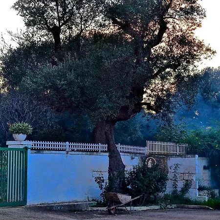 Bed & Breakfast Masseria Saggiomo 2*