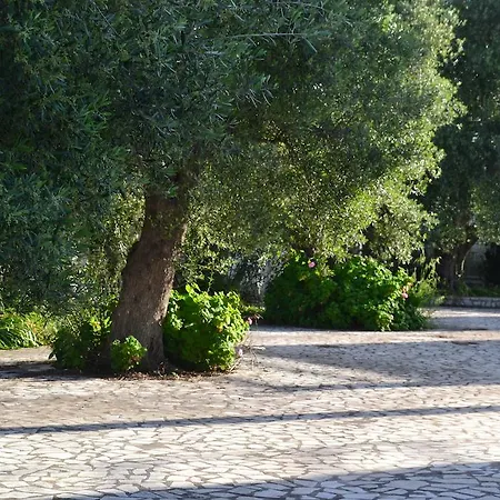 Bed & Breakfast Masseria Saggiomo Ostuni