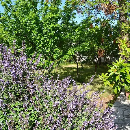 Masseria Saggiomo