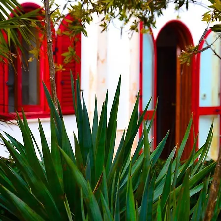 Bed & Breakfast Masseria Saggiomo 2*